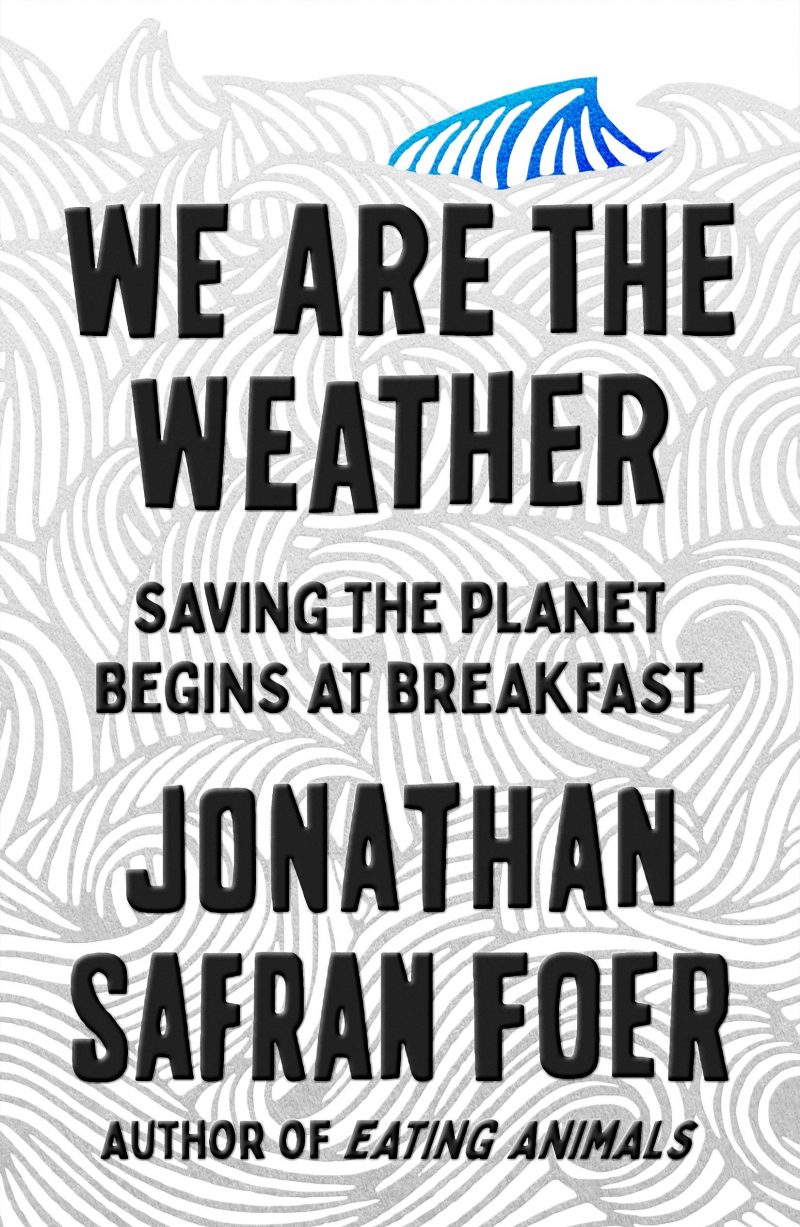 We Are the Weather by Jonathan Safran Foer We Are the Weather by Jonathan Safran Foer